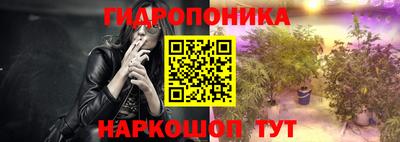 МДПВ Бердск