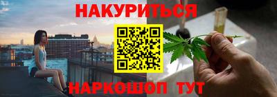 МДПВ Бердск