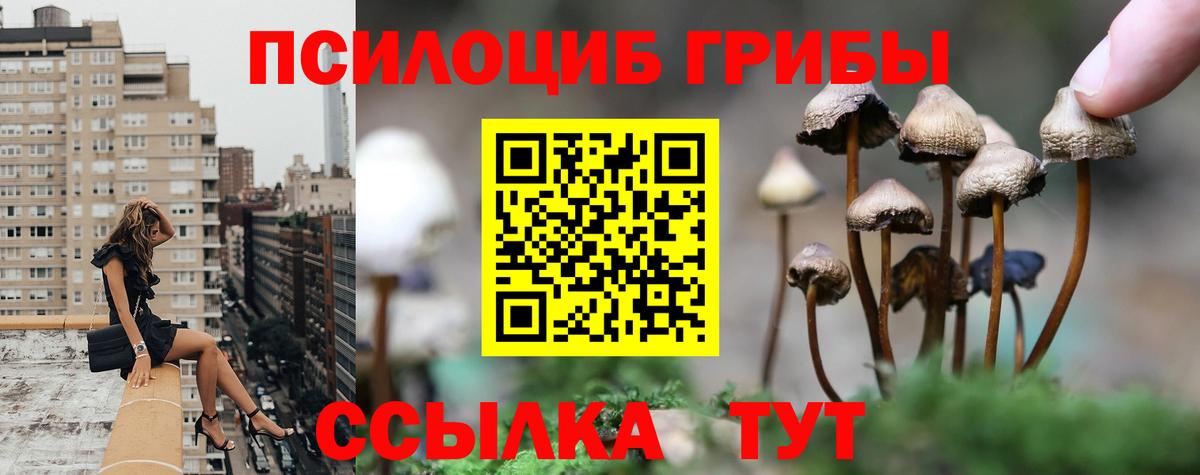 Псилоцибиновые грибы ЛСД Асино