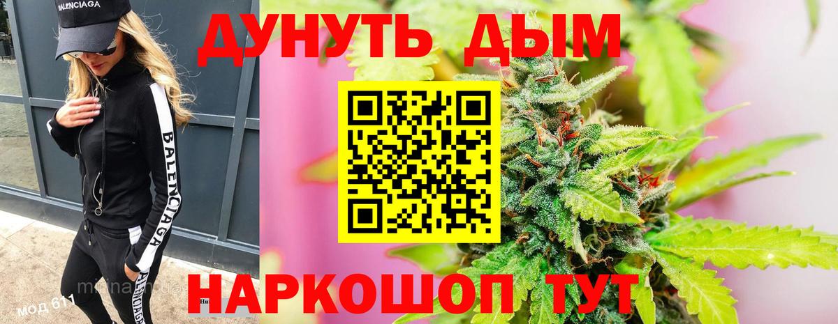 Каннабис индика Асино