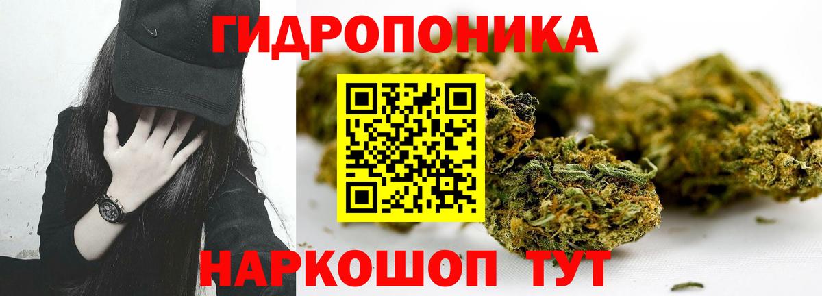 Каннабис ГИДРОПОН  Шишки марихуана White Widow  Канабис MAZAR  Вход с VPN  Канабис AK-47  Асино 